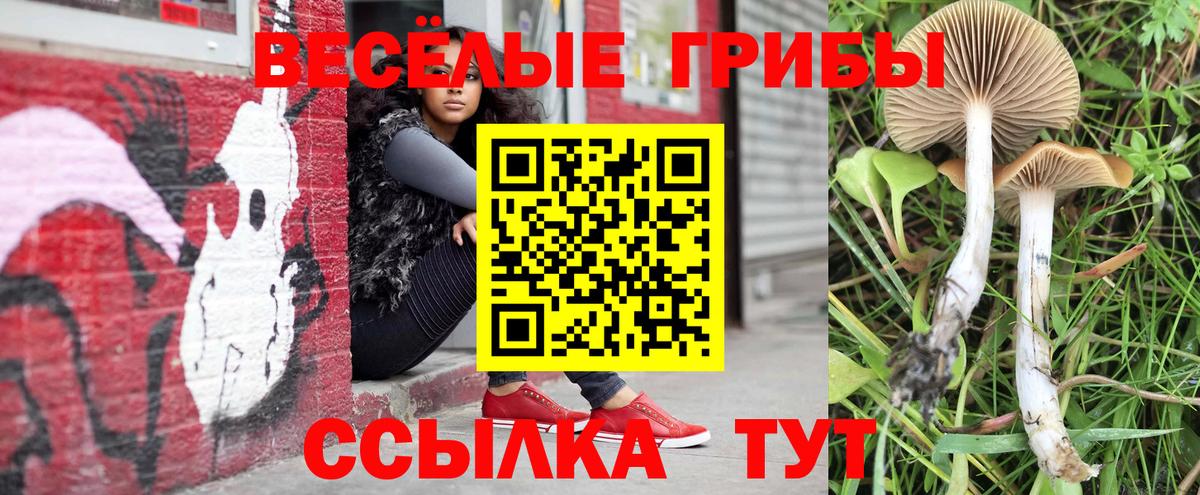 Псилоцибиновые грибы Cubensis  где купить   Наро-Фоминск  Вход с VPN 