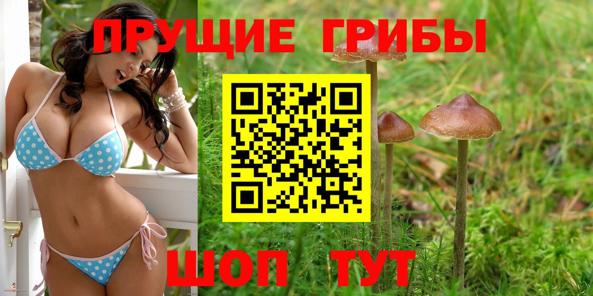 Галлюциногенные грибы Cubensis Наро-Фоминск